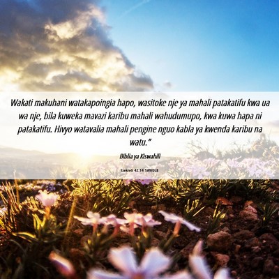 Picture 06 - Ezekieli 42:14 SWHULB - Wakati makuhani watakapoingia hapo, wasitoke nje - Bible Verse Picture