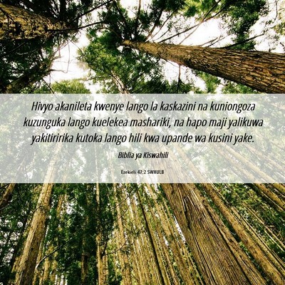 Picture 06 - Ezekieli 47:2 SWHULB - Hivyo akanileta kwenye lango la kaskazini na - Bible Verse Picture