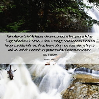 Picture 06 - Ezekieli 8:3 SWHULB - Kisha akanyoosha kutoka kwenye mkono na - Bible Verse Picture