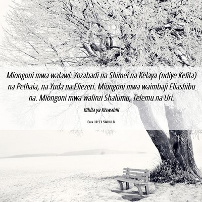 Picture 06 - Ezra 10:23 SWHULB - Miongoni mwa walawi: Yozabadi na Shimei na Kelaya - Bible Verse Picture