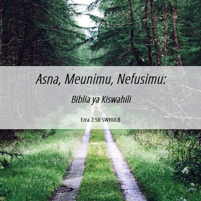 Picture 06 - Ezra 2:50 SWHULB - Asna, Meunimu, - Bible Verse Picture
