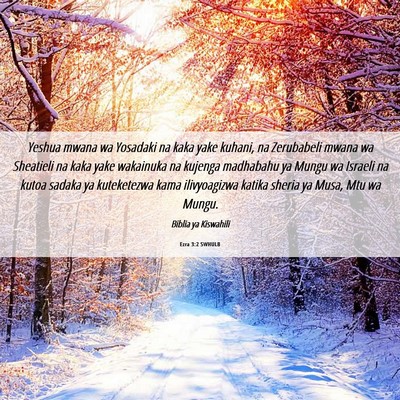 Picture 06 - Ezra 3:2 SWHULB - Yeshua mwana wa Yosadaki na kaka yake kuhani, na - Bible Verse Picture