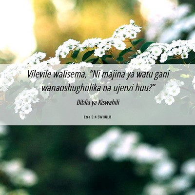 Picture 06 - Ezra 5:4 SWHULB - Vilevile walisema, “Ni majina ya watu gani - Bible Verse Picture