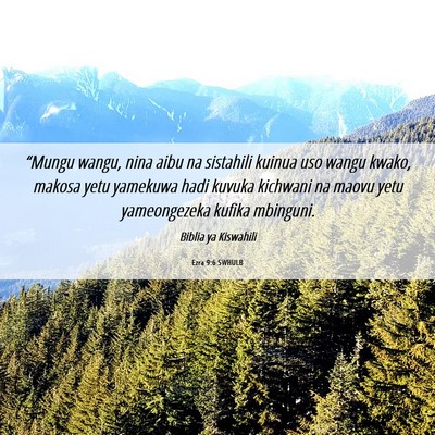 Picture 06 - Ezra 9:6 SWHULB - “Mungu wangu, nina aibu na sistahili kuinua uso - Bible Verse Picture