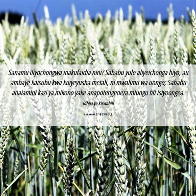 Picture 06 - Habakuki 2:18 SWHULB - Sanamu iliyochongwa inakufaidia nini? Sababu yule - Bible Verse Picture