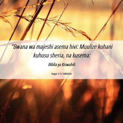 Picture 06 - Hagai 2:11 SWHULB - “Bwana wa majeshi asema hivi: Muulize kuhani - Bible Verse Picture
