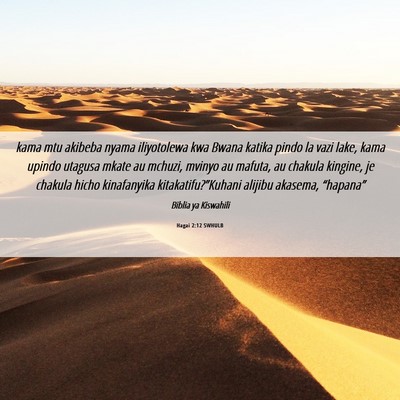 Picture 06 - Hagai 2:12 SWHULB - kama mtu akibeba nyama iliyotolewa kwa Bwana - Bible Verse Picture