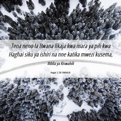 Picture 06 - Hagai 2:20 SWHULB - Tena neno la Bwana likaja kwa mara ya pili kwa - Bible Verse Picture
