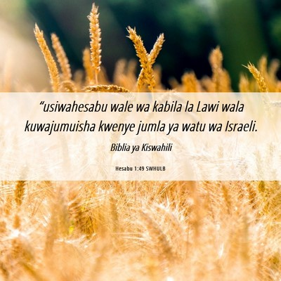 Picture 06 - Hesabu 1:49 SWHULB - “usiwahesabu wale wa kabila la Lawi wala - Bible Verse Picture