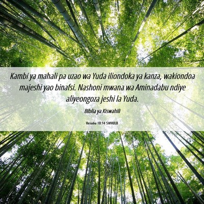 Picture 06 - Hesabu 10:14 SWHULB - Kambi ya mahali pa uzao wa Yuda iliondoka ya - Bible Verse Picture