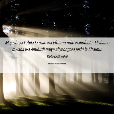 Picture 06 - Hesabu 10:22 SWHULB - Majeshi ya kabila la uzao wa Efraimu ndio - Bible Verse Picture