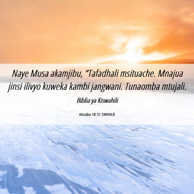 Picture 06 - Hesabu 10:31 SWHULB - Naye Musa akamjibu, “Tafadhali msituache. - Bible Verse Picture