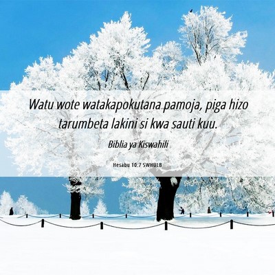 Picture 06 - Hesabu 10:7 SWHULB - Watu wote watakapokutana pamoja, piga hizo - Bible Verse Picture