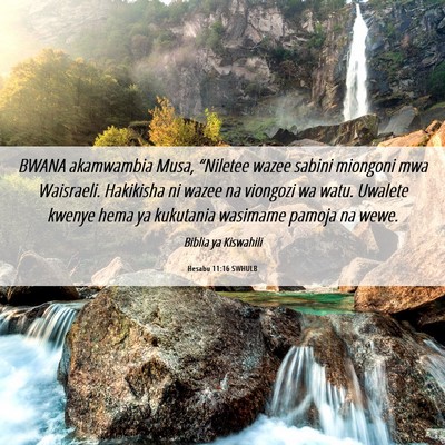 Picture 06 - Hesabu 11:16 SWHULB - BWANA akamwambia Musa, “Niletee wazee sabini - Bible Verse Picture