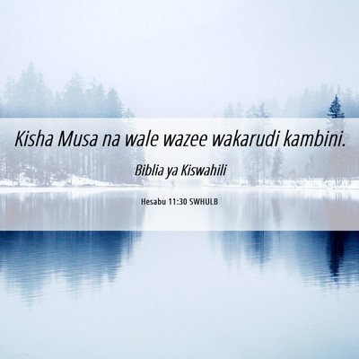 Picture 06 - Hesabu 11:30 SWHULB - Kisha Musa na wale wazee wakarudi - Bible Verse Picture