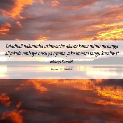Picture 06 - Hesabu 12:12 SWHULB - Tafadhali nakuomba usimwache akawa kama mtoto - Bible Verse Picture