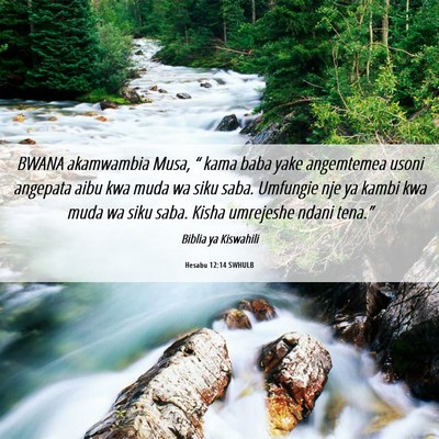 Picture 06 - Hesabu 12:14 SWHULB - BWANA akamwambia Musa, “ kama baba yake - Bible Verse Picture