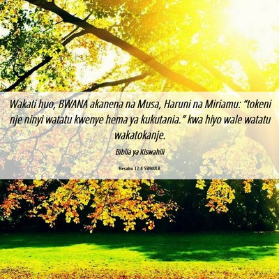 Picture 06 - Hesabu 12:4 SWHULB - Wakati huo, BWANA akanena na Musa, Haruni na - Bible Verse Picture