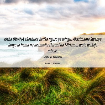 Picture 06 - Hesabu 12:5 SWHULB - Kisha BWANA akashuka katika nguzo ya wingu. - Bible Verse Picture