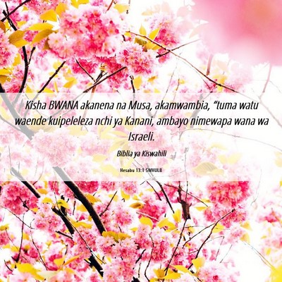 Picture 06 - Hesabu 13:1 SWHULB - Kisha BWANA akanena na Musa, akamwambia, “tuma - Bible Verse Picture