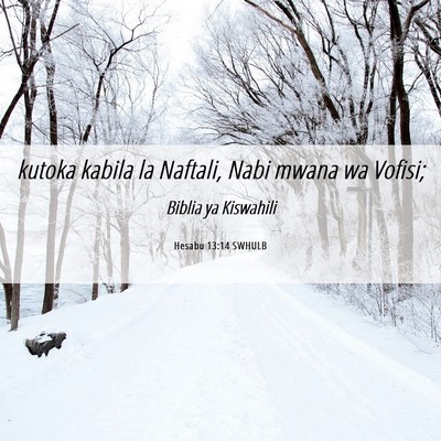 Picture 06 - Hesabu 13:14 SWHULB - kutoka kabila la Naftali, Nabi mwana wa - Bible Verse Picture