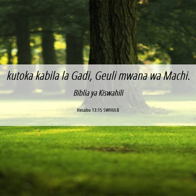 Picture 06 - Hesabu 13:15 SWHULB - kutoka kabila la Gadi, Geuli mwana wa - Bible Verse Picture