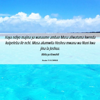 Picture 06 - Hesabu 13:16 SWHULB - Haya ndiyo majina ya wanaume ambao Musa aliwatuma - Bible Verse Picture