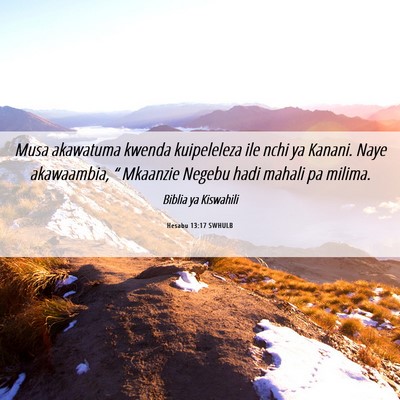 Picture 06 - Hesabu 13:17 SWHULB - Musa akawatuma kwenda kuipeleleza ile nchi ya - Bible Verse Picture