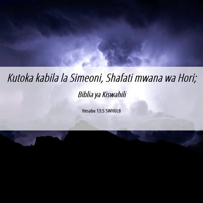Picture 06 - Hesabu 13:5 SWHULB - Kutoka kabila la Simeoni, Shafati mwana wa - Bible Verse Picture