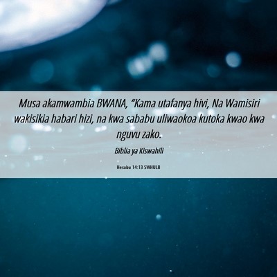 Picture 06 - Hesabu 14:13 SWHULB - Musa akamwambia BWANA, “Kama utafanya hivi, Na - Bible Verse Picture