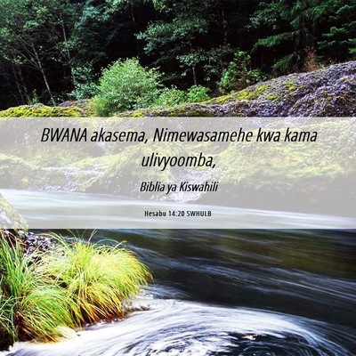 Picture 06 - Hesabu 14:20 SWHULB - BWANA akasema, Nimewasamehe kwa kama - Bible Verse Picture