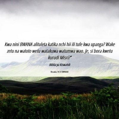 Picture 06 - Hesabu 14:3 SWHULB - Kwa nini BWANA alituleta katika nchi hii ili tufe - Bible Verse Picture