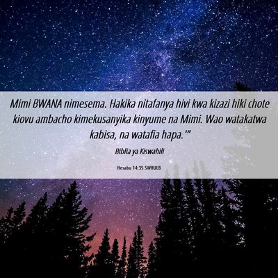 Picture 06 - Hesabu 14:35 SWHULB - Mimi BWANA nimesema. Hakika nitafanya hivi kwa - Bible Verse Picture