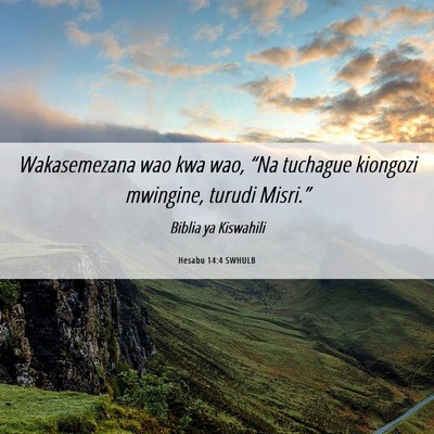 Picture 06 - Hesabu 14:4 SWHULB - Wakasemezana wao kwa wao, “Na tuchague kiongozi - Bible Verse Picture