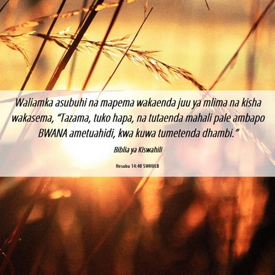 Picture 06 - Hesabu 14:40 SWHULB - Waliamka asubuhi na mapema wakaenda juu ya mlima - Bible Verse Picture