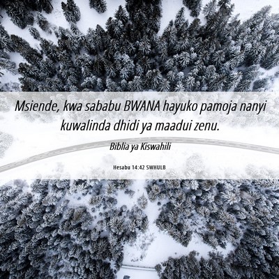 Picture 06 - Hesabu 14:42 SWHULB - Msiende, kwa sababu BWANA hayuko pamoja nanyi - Bible Verse Picture
