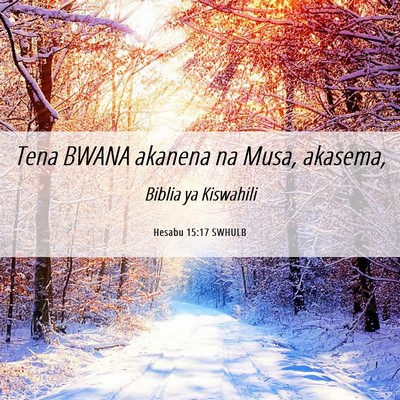 Picture 06 - Hesabu 15:17 SWHULB - Tena BWANA akanena na Musa, - Bible Verse Picture