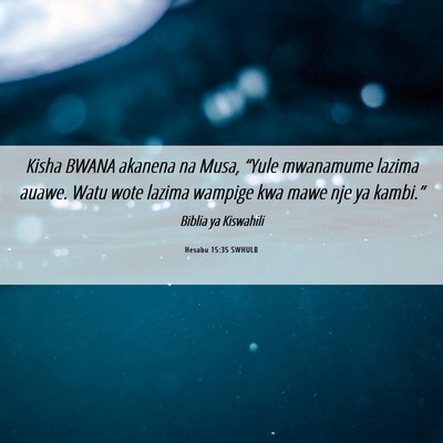 Picture 06 - Hesabu 15:35 SWHULB - Kisha BWANA akanena na Musa, “Yule mwanamume - Bible Verse Picture