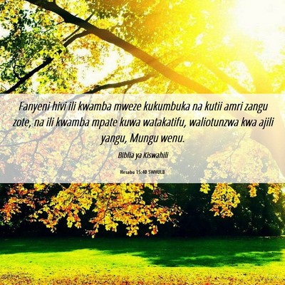 Picture 06 - Hesabu 15:40 SWHULB - Fanyeni hivi ili kwamba mweze kukumbuka na kutii - Bible Verse Picture