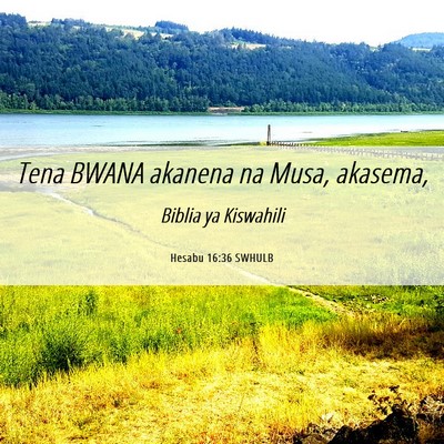 Picture 06 - Hesabu 16:36 SWHULB - Tena BWANA akanena na Musa, - Bible Verse Picture