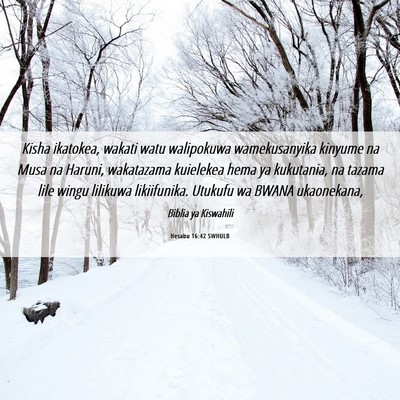 Picture 06 - Hesabu 16:42 SWHULB - Kisha ikatokea, wakati watu walipokuwa - Bible Verse Picture