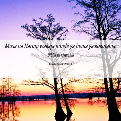 Picture 06 - Hesabu 16:43 SWHULB - Musa na Haruni wakaja mbele ya hema ya - Bible Verse Picture