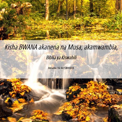 Picture 06 - Hesabu 16:44 SWHULB - Kisha BWANA akanena na Musa, - Bible Verse Picture