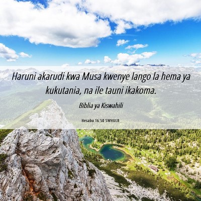 Picture 06 - Hesabu 16:50 SWHULB - Haruni akarudi kwa Musa kwenye lango la hema ya - Bible Verse Picture