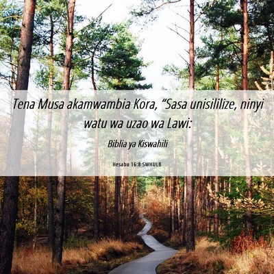 Picture 06 - Hesabu 16:8 SWHULB - Tena Musa akamwambia Kora, “Sasa unisililize, - Bible Verse Picture