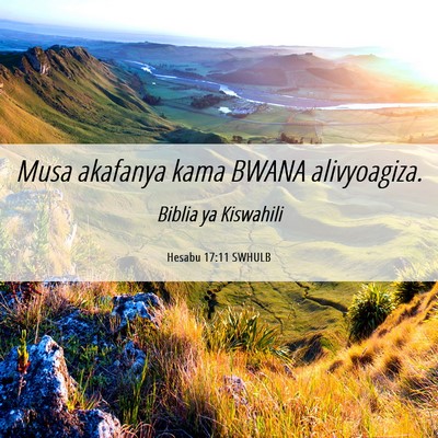 Picture 06 - Hesabu 17:11 SWHULB - Musa akafanya kama BWANA - Bible Verse Picture