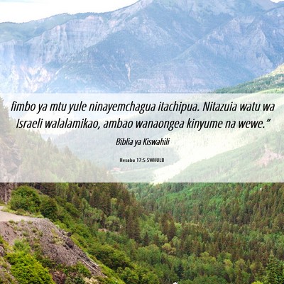 Picture 06 - Hesabu 17:5 SWHULB - fimbo ya mtu yule ninayemchagua itachipua. - Bible Verse Picture