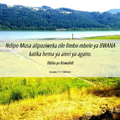 Picture 06 - Hesabu 17:7 SWHULB - Ndipo Musa alipoziweka zile fimbo mbele ya BWANA - Bible Verse Picture