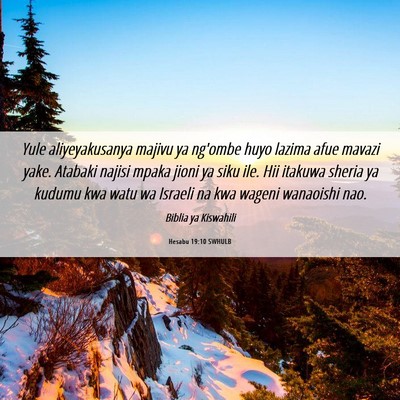 Picture 06 - Hesabu 19:10 SWHULB - Yule aliyeyakusanya majivu ya ng'ombe huyo lazima - Bible Verse Picture