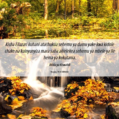 Picture 06 - Hesabu 19:4 SWHULB - Kisha Eliazari kuhani atachukua sehemu ya damu - Bible Verse Picture